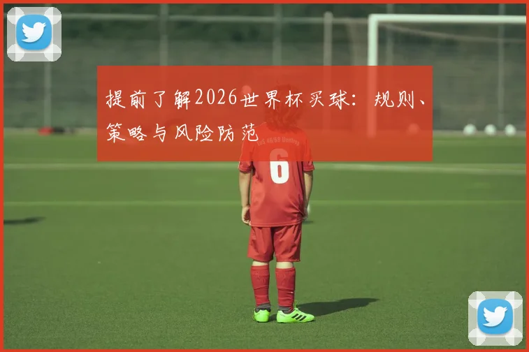 提前了解2026世界杯买球：规则、策略与风险防范