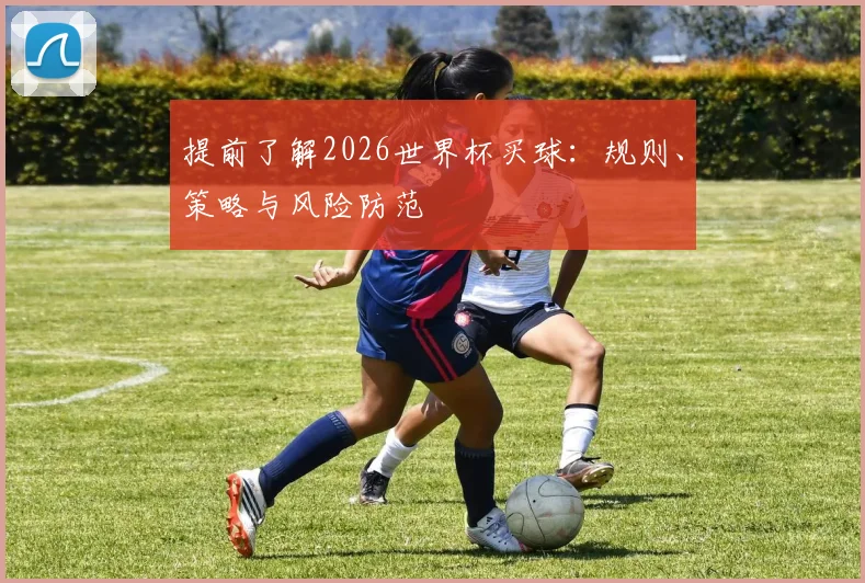 提前了解2026世界杯买球：规则、策略与风险防范
